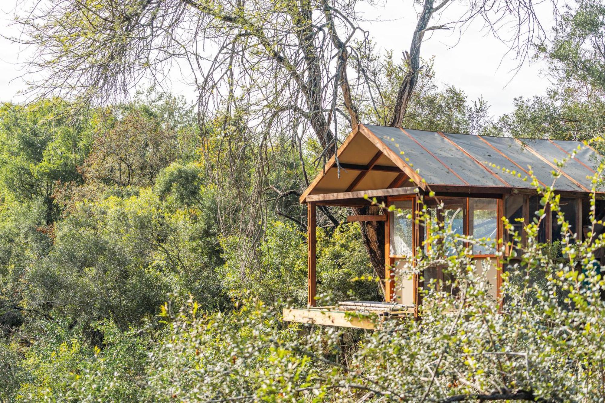 שמורת מאניילטי Ndzhaka Tented Camp מראה חיצוני תמונה
