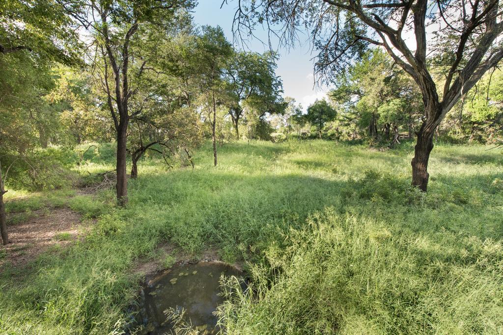 שמורת מאניילטי Ndzhaka Tented Camp מראה חיצוני תמונה