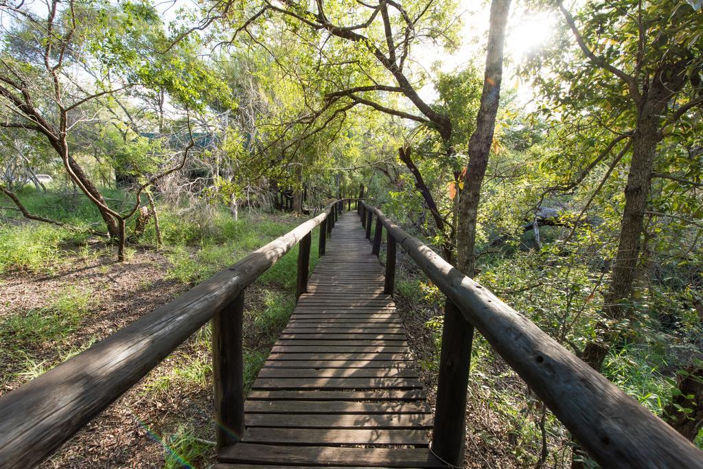 שמורת מאניילטי Ndzhaka Tented Camp מראה חיצוני תמונה