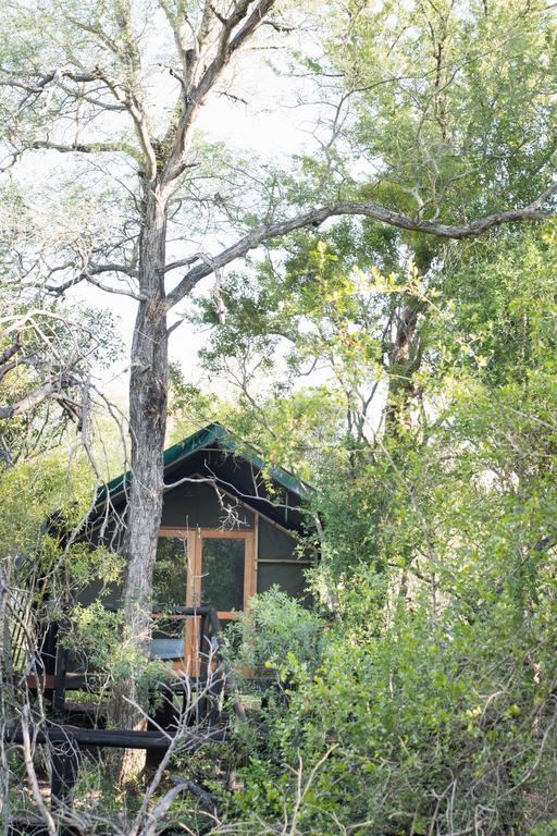 שמורת מאניילטי Ndzhaka Tented Camp מראה חיצוני תמונה